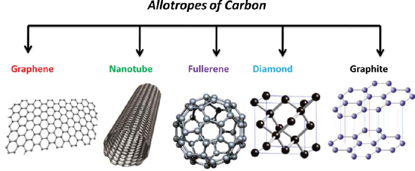 % Carbon Cycle ~ Mare Fabulas